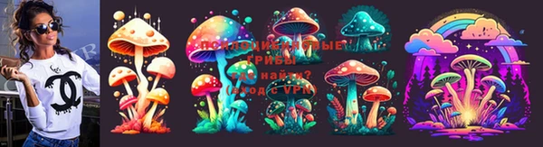 прущие грибы Балахна