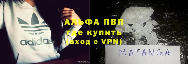 прущие грибы Балахна
