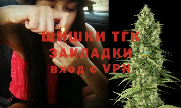 прущие грибы Балахна