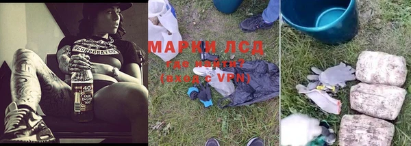 прущие грибы Балахна