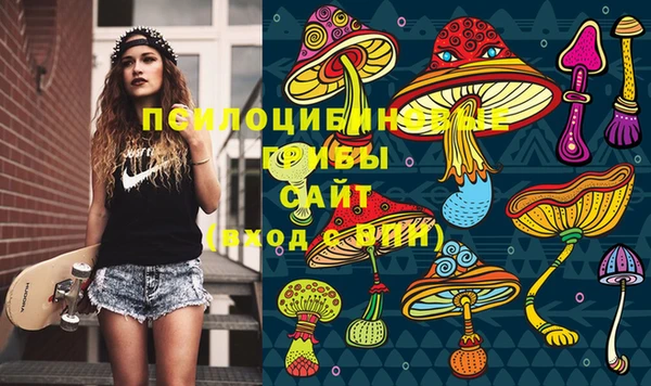 прущие грибы Балахна